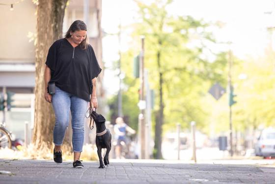 Mensch und Hund unterwegs im Alltag